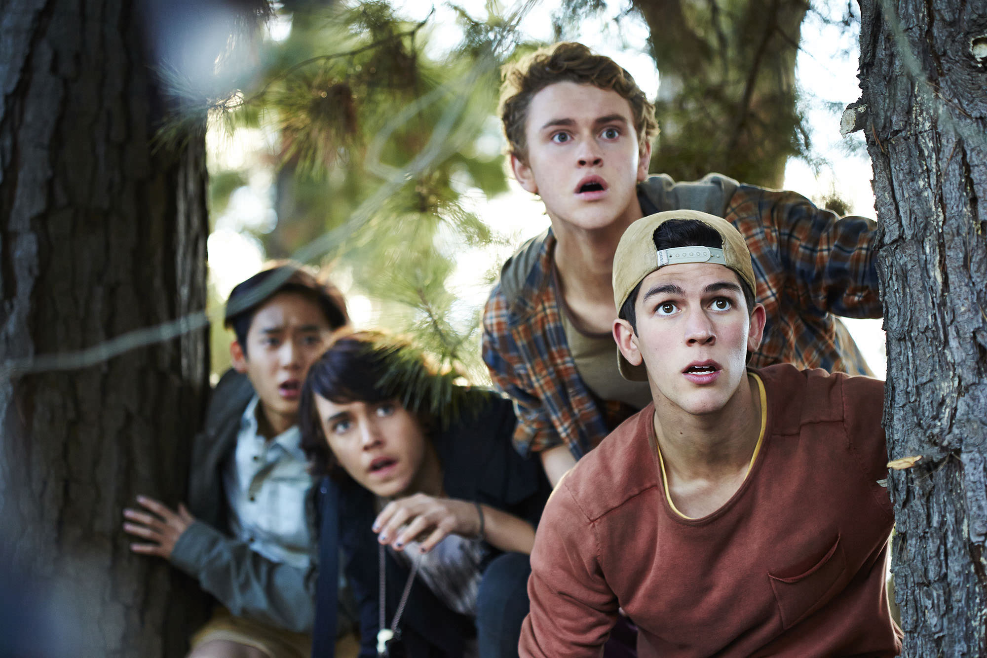 Nowhere Boys Series 1 (2013) - The Screen Guide - Screen Australia